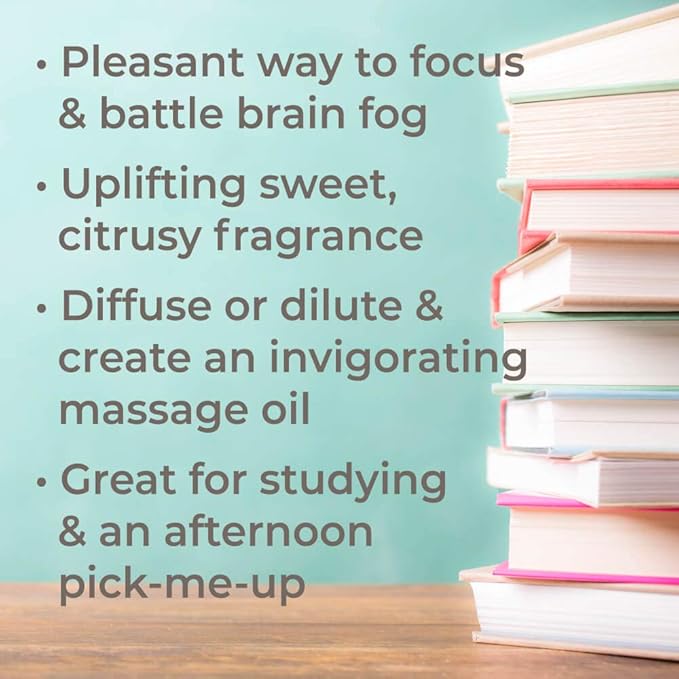 Plant Therapy Brain Aid Essential Oil Blend for Focus & Attention 100% Pure, Pre-Diluted, Natural Aromatherapy, Therapeutic Grade 10 mL (1/3 oz)