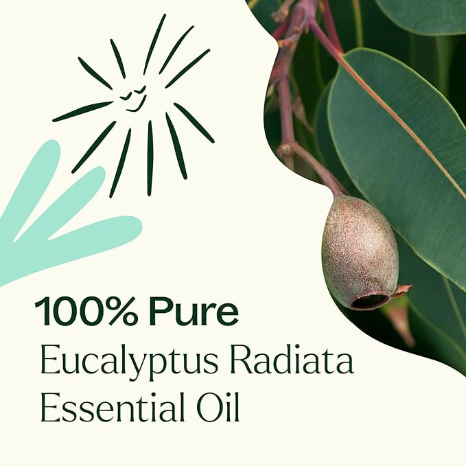 Plant Therapy Eucalyptus Radiata Essential Oil 100 mL (3.3 oz) 100% Pure, Undiluted, Therapeutic Grade