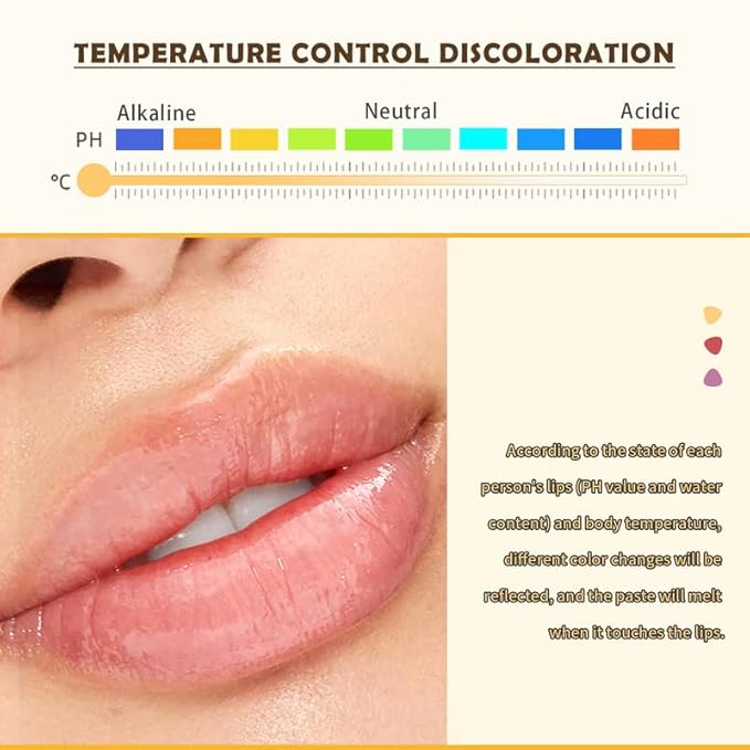 AKARY Cheese Shaped Tinted Lip Balm, 0.28oz