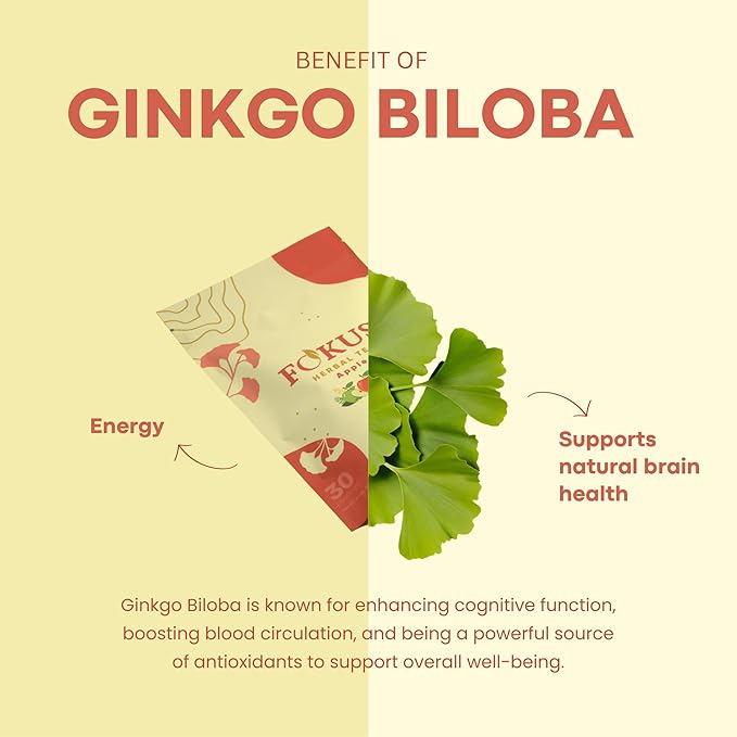 Fokus – Apple Focus & Memory Tea – Organic Brain-Boosting Herbal Blend with Ginkgo Biloba, Gotu Kola, Reishi & Ashwagandha – Crisp Apple Flavor – Caffeine-Free Tea for Mental Clarity, Concentration & Calm Energy – 30 Sachets