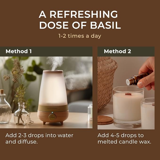 Gya Labs Holy Basil (Tulsi) Essential Oil - 0.34 Fl Oz - 100% Pure Natural Holy Basil Oil for Diffuser, Candle Making - Sweet Balsamic Scent