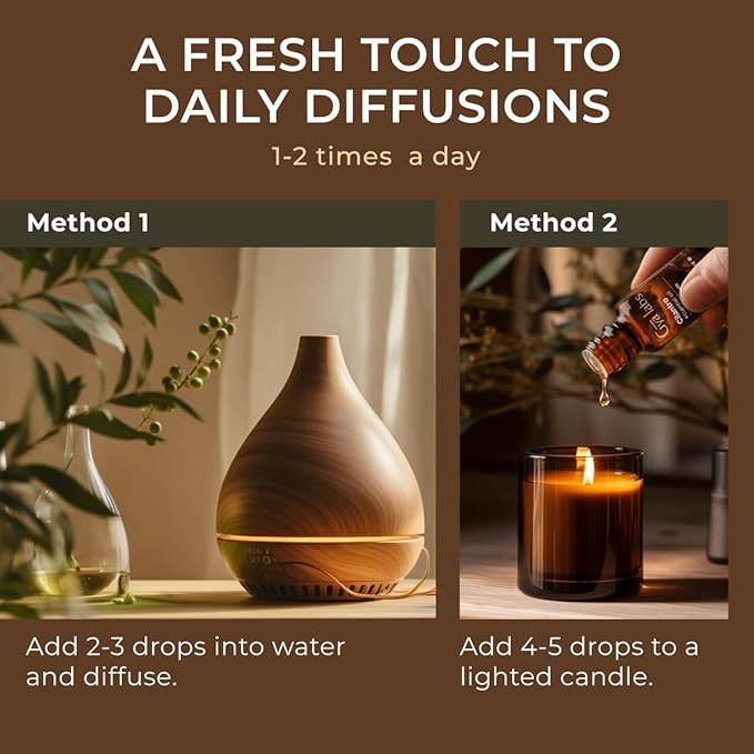 Gya Labs Cilantro Essential Diffusers - for Skin - Cilantro Oil for Aromatherapy, Massage Oil Candles Making - Fresh Herbaceous Scent - 100% Natural (0.34 Fl Oz)