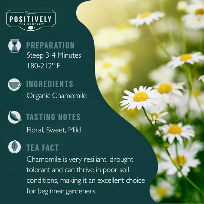 Organic Positively Tea Company, Chamomile Herbal Tea Bags, 20 Count