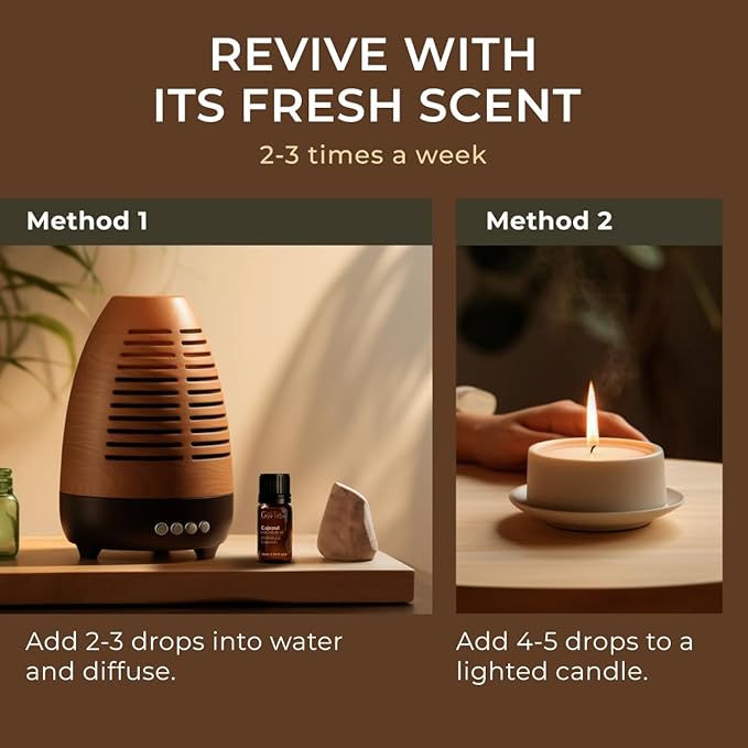 Gya Labs Cajeput Essential Oil for Diffuser - 0.34 Fl Oz - 100% Pure Natural Cajeput Oil for Skin, Aromatherapy, Candle Making - Fresh Herbaceous Scent