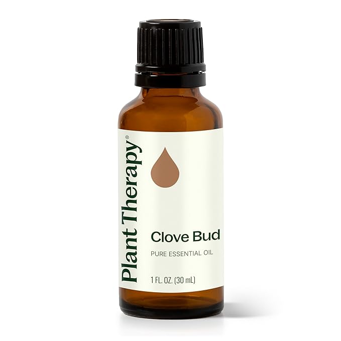 Plant Therapy Clove Bud Essential Oil 100% Pure, Undiluted, Natural Aromatherapy, Therapeutic Grade 30 ml (1 oz)