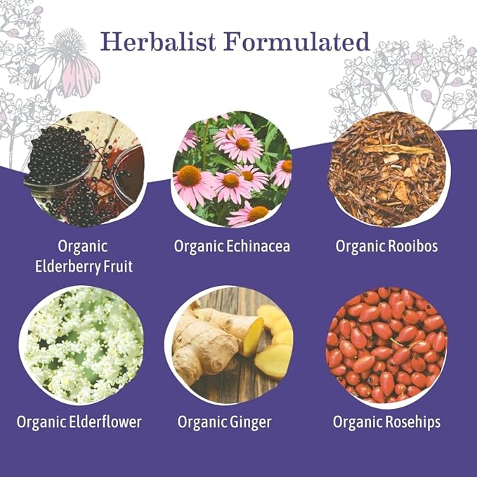 Earth Mama Organic Elderberry Immune Support Tea with Echinacea | Safe for Pregnancy, Breastfeeding, Postpartum, Kids and Family Essentials, Decaf Tea with Ginger & Rooibos (16-Count, 6-PK)