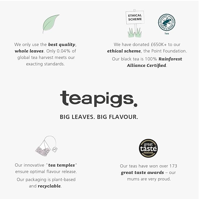 Teapigs Peppermint Leaves Tea Bags Made with Whole Leaves (1 Pack of 50 Tea Bags)