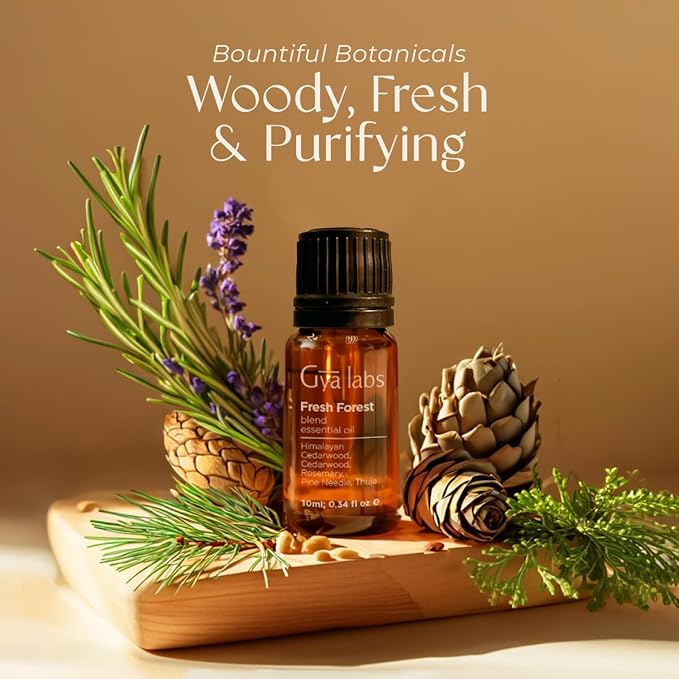 Gya Labs Fresh Forest Essential Oil Blend for Diffuser - Fresh Forest Oil for Aromatherapy, Candle & DIY - 100% Pure Natural Ingredients of Rosemary, Pine Needle, Cedarwood & Thuja(0.34 Fl Oz)