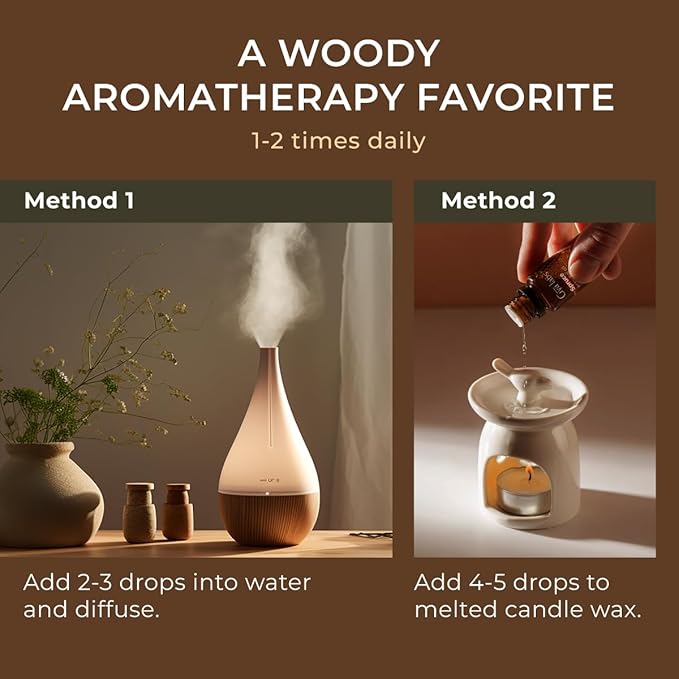 Gya Labs Spruce Essential Oil for Diffuser - 0.34 Fl Oz - 100% Pure Natural Spruce Oil for Skin, Massage, DIY & Candle Making - Woody Balsamic & Refreshing Scent