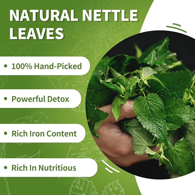 Stinging Nettle Leaf Tea Bags - 60bags Pure & Natural Nettle Leaf Herbal Tea, Caffeine Free, No Additives, No Sugar, Non-Gmo, No Gluten