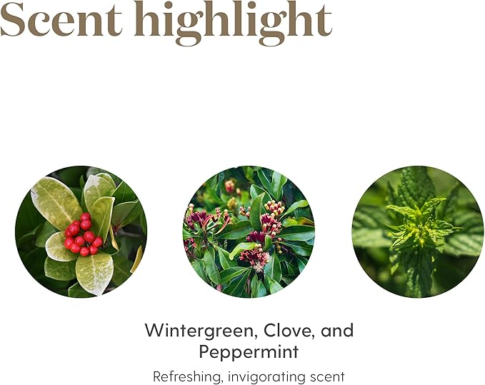 Young Living PanAway Essential Oil Blend - Clove, Helichrysum, Peppermint, and Wintergreen - 5 ml