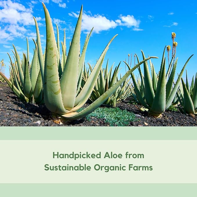 Aloe Vera After Sun Gel by Florida Glow - Organic Aloe Vera Gel for Sunburn Relief - 98% Pure Aloe Vera Moisturizer for Face, Skin - Enriched with Vitamin B5, Non-Sticky, Xanthan Free, Clear Gel