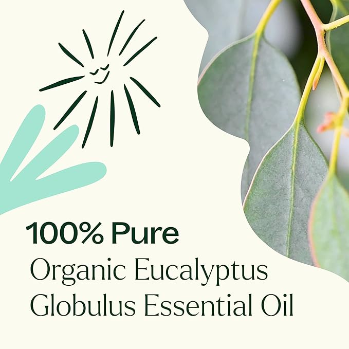 Plant Therapy Organic Eucalyptus Globulus Essential Oil 100% Pure, USDA Certified Organic, Undiluted, Natural Aromatherapy, Therapeutic Grade 30 mL (1 oz)