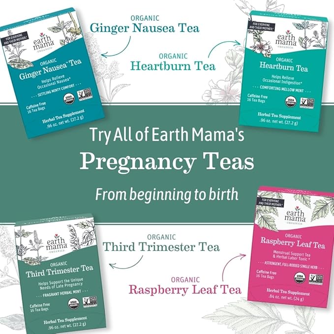 Earth Mama Organic Ginger Nausea™ Tea | Comforts Occasional Nausea + Morning Sickness, 16 Teabags Per Box (6-Pack)