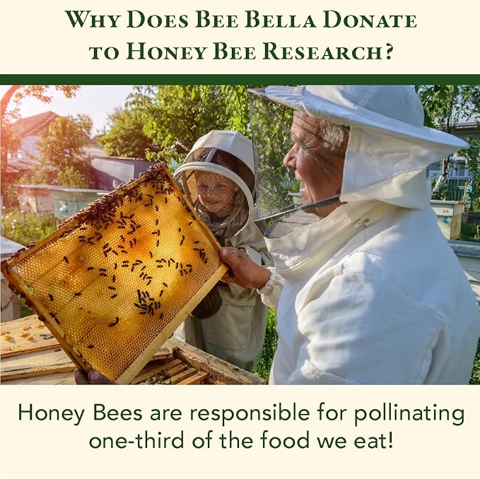 Bee Bella Lip Balm Variety 5 Pack Gift Set, Cherry, Pomegranate Mango, Vanilla Bean, Peppermint, & Lavender Vanilla, Easter Basket Gift, Organic Beeswax with Vitamin E, Handmade in USA