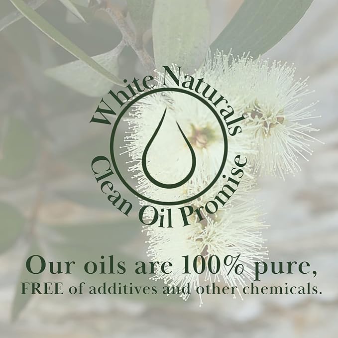 Organic Niaouli Essential Oil - 100% Pure & Natural -Premium Therapeutic Grade with Premium Glass Dropper - Undiluted Natural/Homeopathic Aromatherapy Scented, Great for DIY Candle Making, Massage