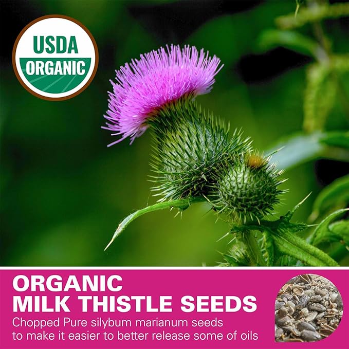 WT WEETEE Organic Milk Thistle Tea Bags, 100% Pure & Natural Roasted Milk Thistle Seeds, Caffeine-free Herbal Tea Detox Tea 2g x 100 Counts