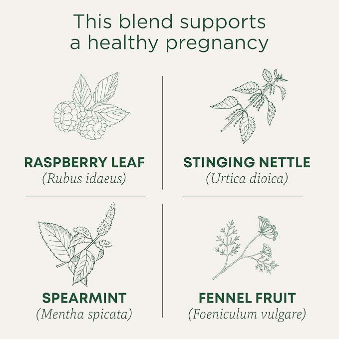 Traditional Medicinals Tea, Organic Pregnancy Tea, Supports a Healthy Pregnancy, Raspberry Leaf, 96 Tea Bags (6 Pack)