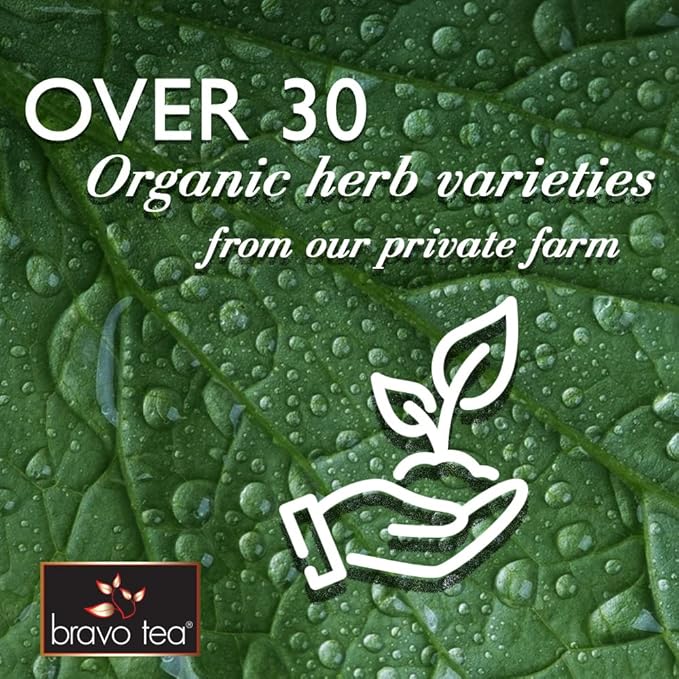 Bravo Tea Blood Pressure Herbal Tea Caffeine Free, 20 Tea Bags, 6 Count
