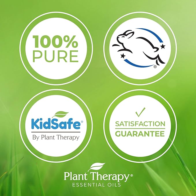 Plant Therapy Hocus Focus KidSafe Essential Oil Blend Pre-Diluted Roll-On 10 mL (1/3 oz) Pure, Therapeutic Grade - Kids Blend for Focus