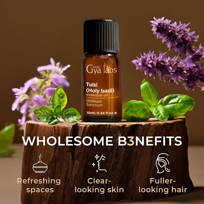 Gya Labs Holy Basil (Tulsi) Essential Oil - 0.34 Fl Oz - 100% Pure Natural Holy Basil Oil for Diffuser, Candle Making - Sweet Balsamic Scent