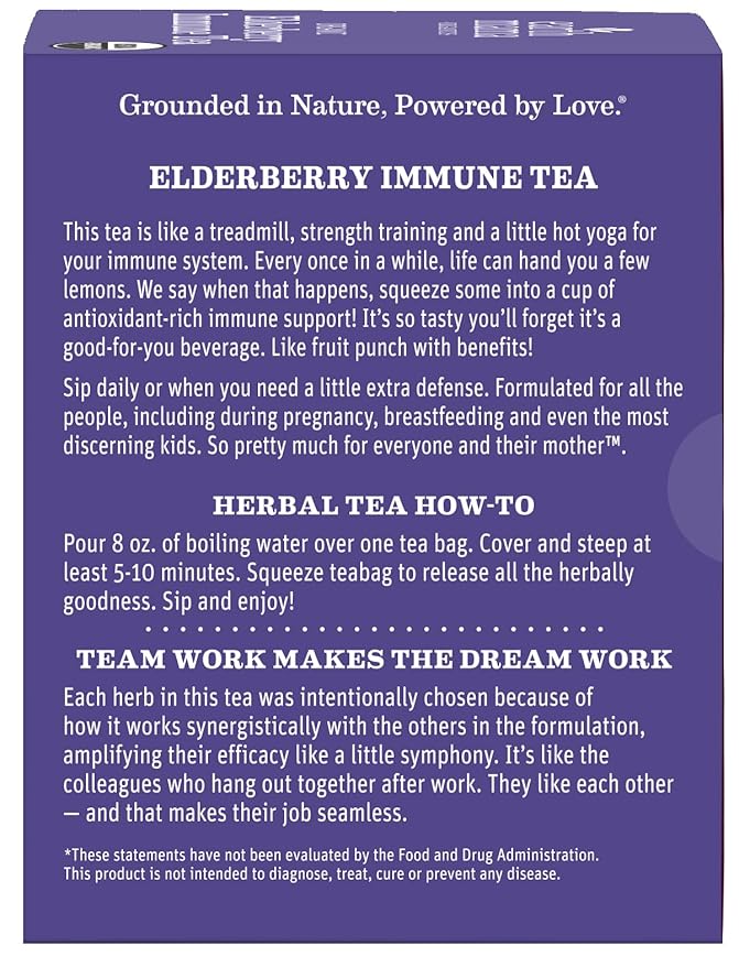 Earth Mama Organic Elderberry Immune Support Tea with Echinacea | Safe for Pregnancy, Breastfeeding, Postpartum, Kids and Family Essentials, Decaf Tea with Ginger & Rooibos, 16-Count