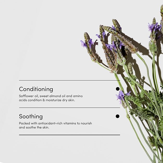 LATHER - Lavender Lime Body Moisturizer, 8 fl oz - Daily Hydrating Body Lotion - Essential Oils & Vitamins - Aloe, Safflower Oil, Almond Oil, & Amino Acids - Vegan & Cruelty Free - Beauty & Skin Care