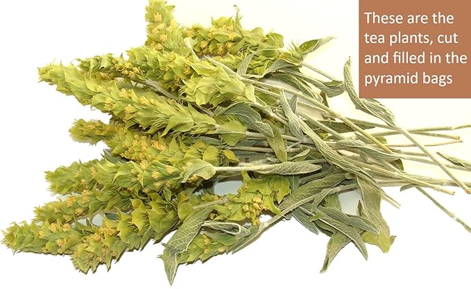 Sparta Natura Organic Greek Mountain Tea, Pyramid Tea Bags, Authentic, Quick and Easy (2)