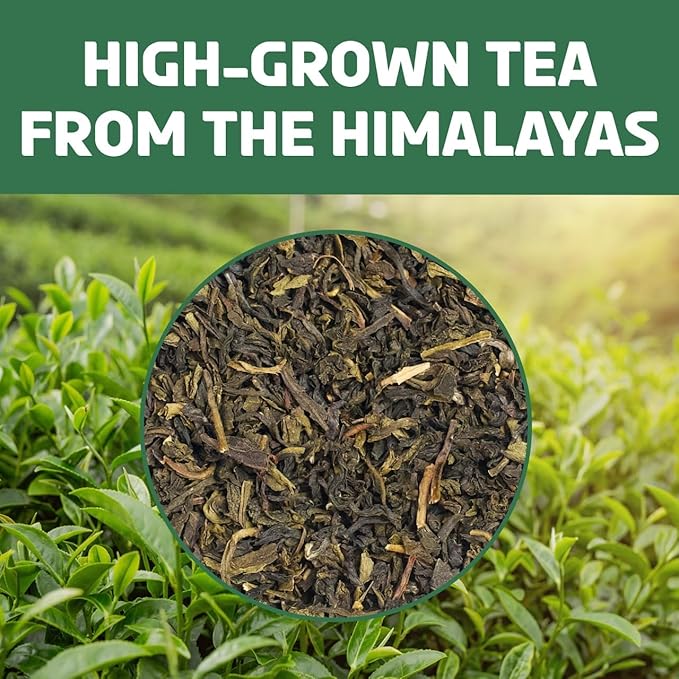 BREWIX, Green Tea Loose Leaf (50+ Cups, 3.53oz/100g) Gluten Free I High Elevation Grown Green Tea Leaves | Pure Single Origin Sourced Direct from India