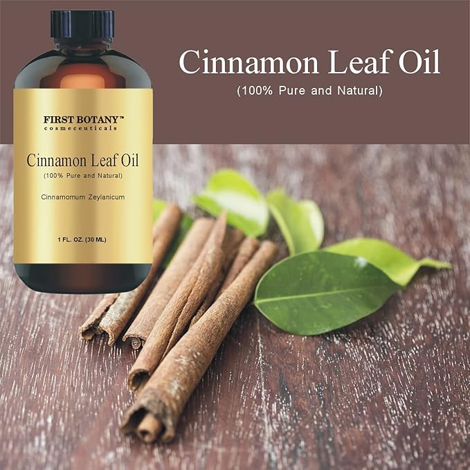 First Botany, 100% Pure Cinnamon Essential Oil - Premium Oil for Aromatherapy, Massage, Topical & Household Uses - 1 fl oz (Cinnamon)