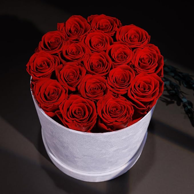 17 Flowers in a Luxury Suede Box, Birthday Gifts for Women, Preserved Flowers, Mothers Day Roses Gift for Mom, Red