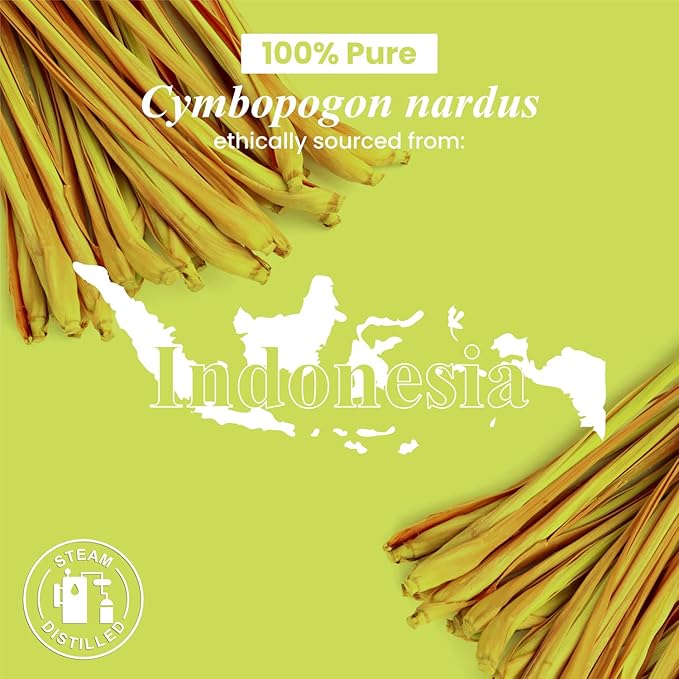 Handcraft Blends Citronella Essential Oil - Huge 4 Fl Oz - 100% Pure and Natural - Premium Grade Essential Oil for Diffuser and Aromatherapy