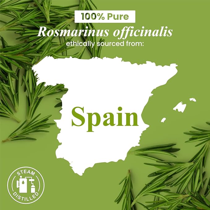 Handcraft Blends Rosemary Essential Oil - 0.33 Fl Oz - 100% Pure and Natural - Premium Grade Essential Oil for Diffuser and Aromatherapy