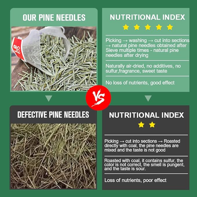Pine Needle Tea Bags - Organic Dried Pine Needle Herbal Tea for Immune Support & Antioxidant, Caffeine Free, Natural Suramin, 20 Tea bags