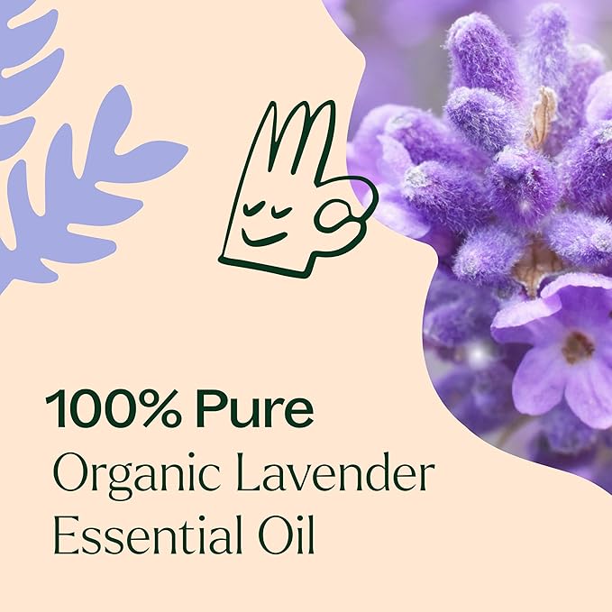 Plant Therapy Organic Lavender Essential Oil 100% Pure, Pre-Diluted Roll-On, Natural Aromatherapy, Therapeutic Grade 10 mL (1/3 oz)