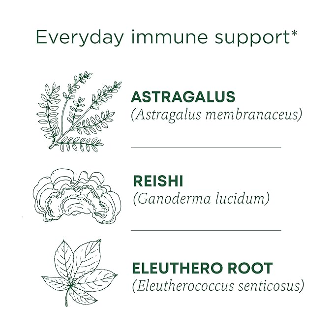 Traditional Medicinals Tea, Organic Stress Ease Immune with Adaptogens, Everyday Immune Support, Reishi Warming Spice, 16 Tea Bags