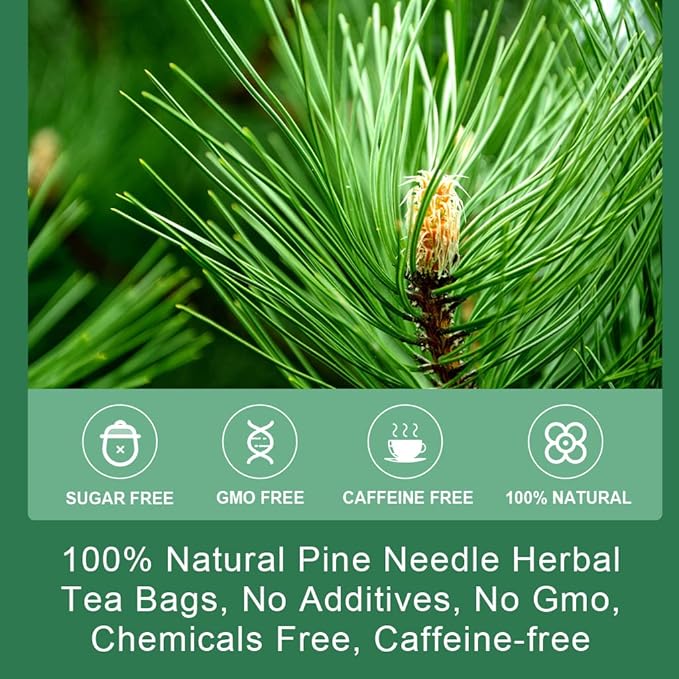 Pine Needle Tea Bags - Organic Dried Pine Needle Herbal Tea for Immune Support & Antioxidant, Caffeine Free, Natural Suramin, 20 Tea bags
