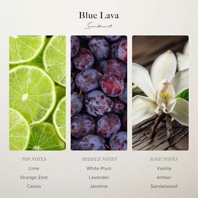 Blue Lava Designer Collection Diffuser Oils | Aromatherapy Home Fragrance | Luxurious Scent with Notes of Lime, Orange Zest, Cassis, Green Leaves (50 mL)