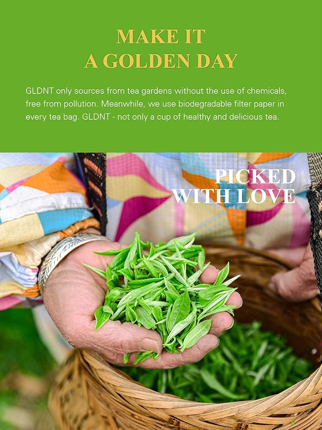 GLDNT Organic Matcha Green Tea Bags, Premium Organic Japanese Matcha + Sencha Green Tea, Rich in Antioxidants, Caffeinated, 100 Count