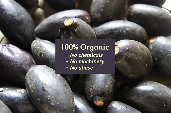 Pure Pili ORGANIC Pili Oil For Skin, Hair, Face, Nails, Beard & Cuticles -100% Volcanic Enriched Anti Aging, Anti Wrinkle, Cold Pressed Moisturizer, 30 ml