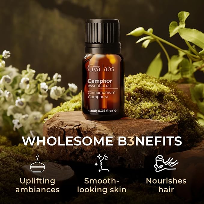 Gya Labs Camphor Oil for Candle Making Scent - 0.34 Fl Oz - 100% Pure Natural Camphor Oil for Skin, Hair, DIY, Aromatherapy - Fresh Sharp & Slightly Woody Scent