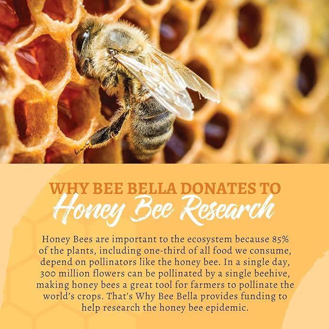 Bee Bella Lip Balm, Peppermint, 3 Organic