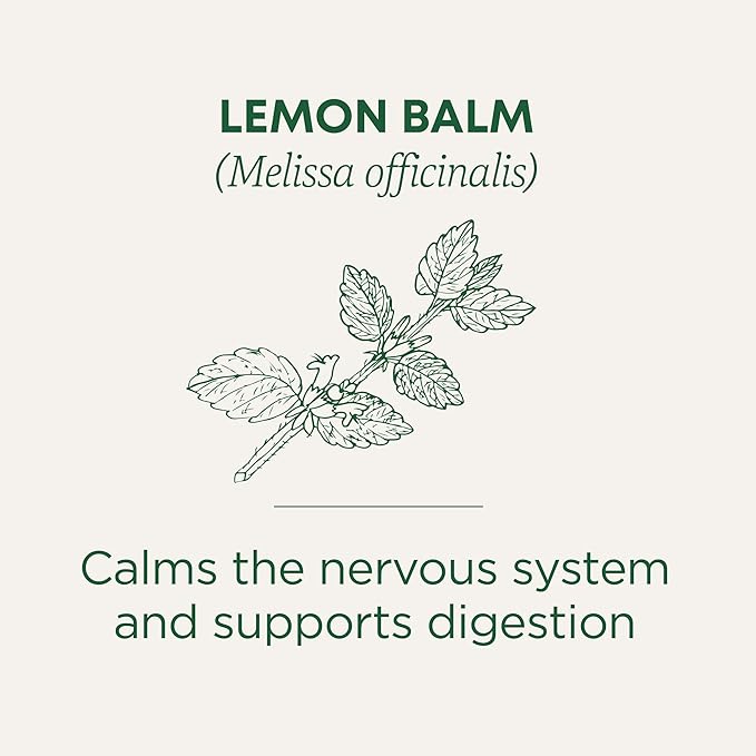 Traditional Medicinals Organic Lemon Balm Herbal Tea, Calming and Supports Digestion, (Pack of 1) - 16 Tea Bags