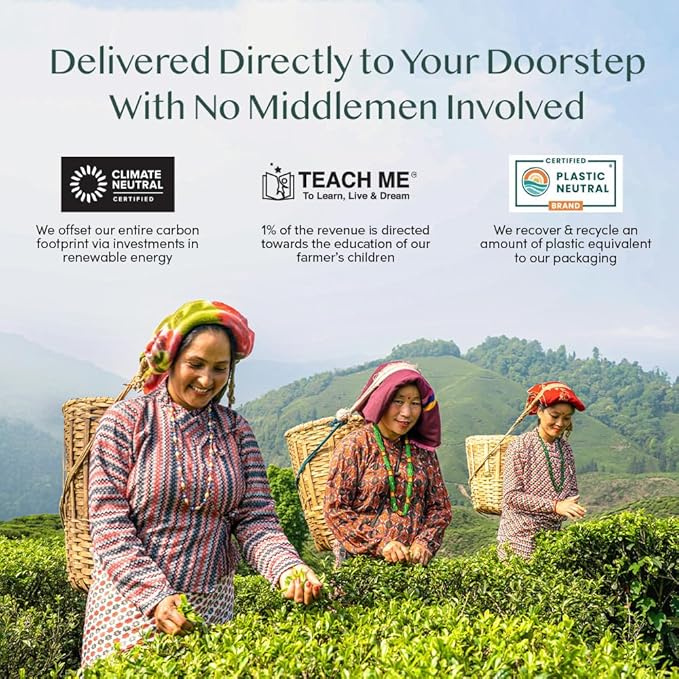 VAHDAM, Cardamom Masala Chai Tea Bags (100 Count) Non GMO, Gluten Free, No Artificial Flavor | Blended w/Exotic Spices | Chai Tea | Resealable Ziplock Pouch