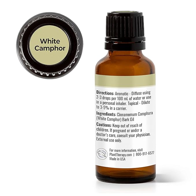 Plant Therapy White Camphor Essential Oil 30 mL (1 oz) 100% Pure, Undiluted, Therapeutic Grade