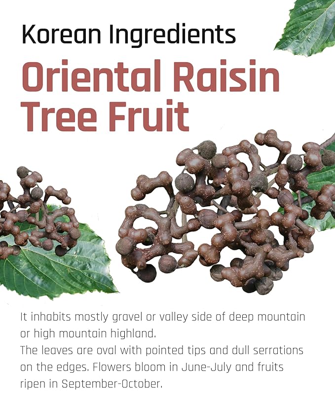 Ssanggye Oriental Raisin Tree Tee 1.0g X 40 Tea Bags, Mild Savory Clean Taste Premium Herbal Tea Dried Roasted Traditional Berry Water Coffee Alternative Hot & Cold for 4 Seasons Made in Korea