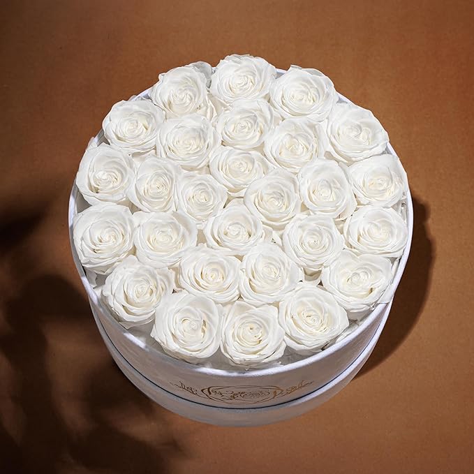 27 Flowers in a Luxury Suede Box, Birthday Gifts for Women, Preserved Flowers, Mothers Day Roses Gift for Mom, White