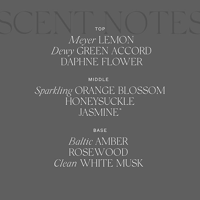 Antica Farmacista Hand Wash -Warm White, 10 Fl Oz (Pack of 1)