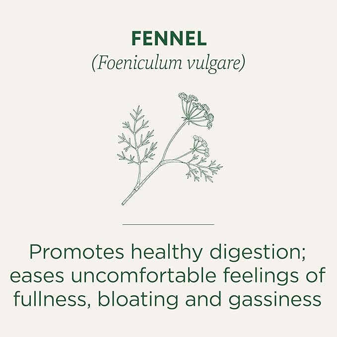 Traditional Medicinals Tea, Organic Fennel, Promotes Healthy Digestion, 16 Tea Bags