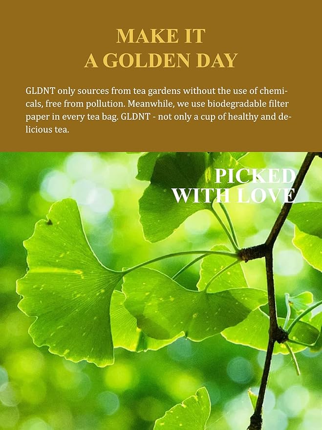 GLDNT Organic Ginkgo Biloba Tea, Dried Ginkgo Biloba Leaves, Mild & Smooth Flavor, Caffeine Free, 100 Count